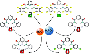 Graphical abstract: Halogenated isophthalamides and dipicolineamides: the role of the halogen substituents in the anion binding properties