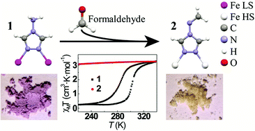 Graphical abstract: Covalent post-synthetic modification of switchable iron-based coordination polymers by volatile organic compounds: a versatile strategy for selective sensor development