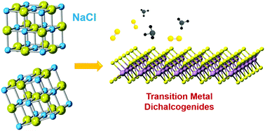 Graphical abstract: Roles of salts in the chemical vapor deposition synthesis of two-dimensional transition metal chalcogenides