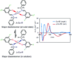 Graphical abstract: Solid-state to solution helicity inversion of pseudotetrahedral chiral copper(ii) complexes with 2,4-dihalo-salicylaldiminate ligands