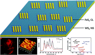 Graphical abstract: FeS2 crystal lattice promotes the nanostructure and enhances the electrocatalytic performance of WS2 nanosheets for the oxygen evolution reaction