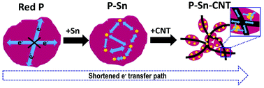 Graphical abstract: Sn-Decorated red P entangled in CNTs as anodes for advanced lithium ion batteries