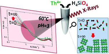 Graphical abstract: In situ study of the synthesis of thorite (ThSiO4) under environmental representative conditions