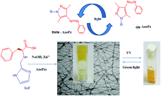 Graphical abstract: Photoresponsive Zn2+-specific metallohydrogels coassembled from imidazole containing phenylalanine and arylazopyrazole derivatives