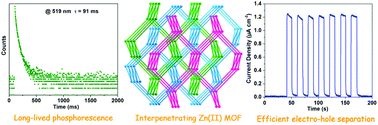 Graphical abstract: Dense π-stacking of flexible ligands fixed in interpenetrating Zn(ii) MOF exhibiting long-lasting phosphorescence and efficient carrier transport