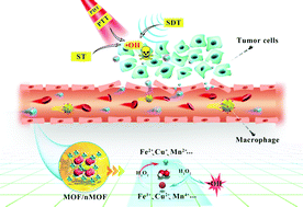 Graphical abstract: Recent advances in MOF-based nanoplatforms generating reactive species for chemodynamic therapy