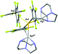 Graphical abstract: Metallophilic Au(i)⋯M(i) interactions (M = Tl, Ag) in heteronuclear complexes with 1,4,7-triazacyclononane: structural features and optical properties