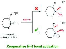 Graphical abstract: Cooperative N–H bond activation by amido-Ge(ii) cations