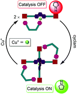 Graphical abstract: Allosteric regulation of rotational, optical and catalytic properties within multicomponent machinery