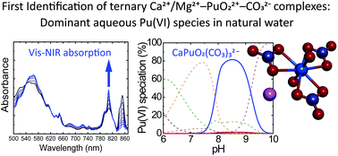 Graphical abstract: Visible-NIR absorption spectroscopy study of the formation of ternary plutonyl(vi) carbonate complexes