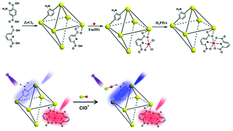 Graphical abstract: Dual-emissive metal–organic framework: a novel turn-on and ratiometric fluorescent sensor for highly efficient and specific detection of hypochlorite