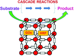 Graphical abstract: Integration of metal organic frameworks with enzymes as multifunctional solids for cascade catalysis
