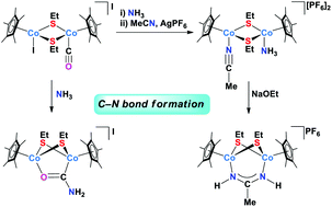 Graphical abstract: Facile C–N coupling of coordinated ammonia and labile carbonyl or acetonitrile promoted by a thiolate-bridged dicobalt reaction scaffold