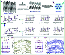 Graphical abstract: Emerging metal ion-coordinated black phosphorus nanosheets and black phosphorus quantum dots with excellent stabilities