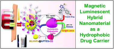 Graphical abstract: Synthesis of a novel β-cyclodextrin-functionalized Fe3O4/BaMoO4:Dy3+ magnetic luminescent hybrid nanomaterial and its application as a drug carrier
