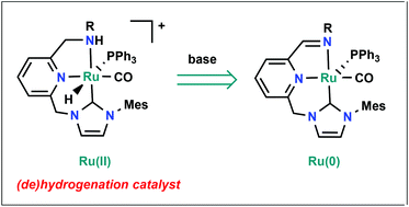 Graphical abstract: Hydrogenation/dehydrogenation of N-heterocycles catalyzed by ruthenium complexes based on multimodal proton-responsive CNN(H) pincer ligands