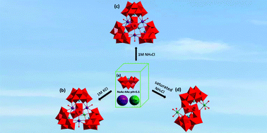 Graphical abstract: Ionic strength effect on regulating the synthetic assembly of polyoxometalate clusters with slow magnetic relaxation behavior