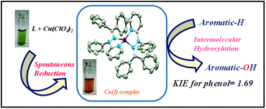 Graphical abstract: Cu(i) complexes obtained via spontaneous reduction of Cu(ii) complexes supported by designed bidentate ligands: bioinspired Cu(i) based catalysts for aromatic hydroxylation