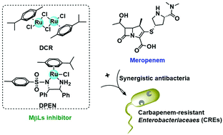 Graphical abstract: Ruthenium complexes as prospective inhibitors of metallo-β-lactamases to reverse carbapenem resistance