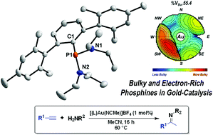 Graphical abstract: Terphenyl(bisamino)phosphines: electron-rich ligands for gold-catalysis