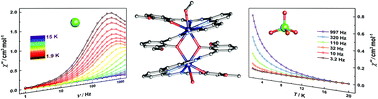 Graphical abstract: Counter anions influence the relaxation dynamics of phenoxy-bridged Dy2 single molecule magnets