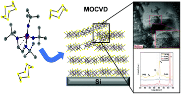 Graphical abstract: A new metalorganic chemical vapor deposition process for MoS2 with a 1,4-diazabutadienyl stabilized molybdenum precursor and elemental sulfur