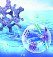 Graphical abstract: Regulating the electronic structure of CoMoO4 microrod by phosphorus doping: an efficient electrocatalyst for the hydrogen evolution reaction