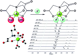 Graphical abstract: Al(iii)-NTA-fluoride: a simple model system for Al–F binding with interesting thermodynamics