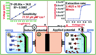 Graphical abstract: Potentiometric extractive sensing of lead ions over a nickel oxide intercalated chitosan-grafted-polyaniline composite