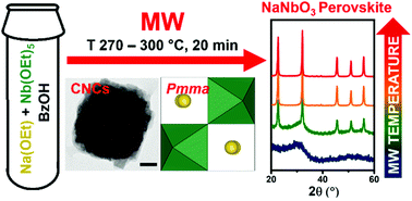 Graphical abstract: Sodium niobate based hierarchical 3D perovskite nanoparticle clusters