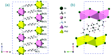 Graphical abstract: Structural diversity of lead halide chain compounds, APbX3, templated by isomeric molecular cations