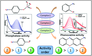 Graphical abstract: Structure and synthesis of copper-based Schiff base and reduced Schiff base complexes: a combined experimental and theoretical investigation of biomimetic catalytic activity