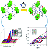 Graphical abstract: A dual-functional MOF for high proton conduction and sensitive detection of ascorbic acid