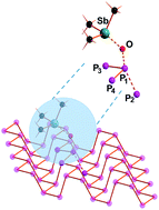 Graphical abstract: On the comparison of oxygen and sulfur transfer reactivities in phosphine and phosphorene: the case of R3Sb(X) carriers (X = O or S)