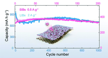 Graphical abstract: In situ chemically encapsulated and controlled SnS2 nanocrystal composites for durable lithium/sodium-ion batteries