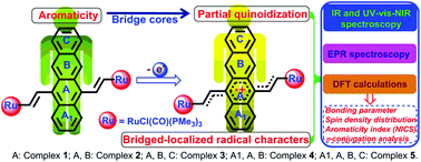 Graphical abstract: Oxidized divinyl oligoacene-bridged diruthenium complexes: bridged localized radical characters and reduced aromaticity in bridge cores
