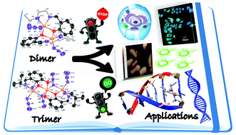 Graphical abstract: Studies on the influence of the nuclearity of zinc(ii) hemi-salen complexes on some pivotal biological applications