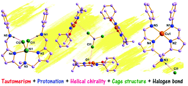 Graphical abstract: Versatility of the bis(iminopyrrolylmethyl)amine ligand: tautomerism, protonation, helical chirality, and the secondary coordination sphere with halogen bonds in the formation of copper(ii) and nickel(ii) complexes