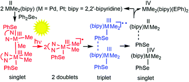 Graphical abstract: DFT studies of two-electron oxidation, photochemistry, and radical transfer between metal centres in the formation of platinum(iv) and palladium(iv) selenolates from diphenyldiselenide and metal(ii) reactants