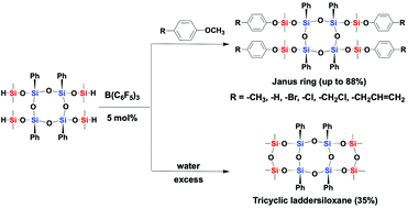 Graphical abstract: Janus ring siloxane: a versatile precursor of the extended Janus ring and tricyclic laddersiloxanes