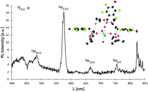 Graphical abstract: Functionalised phosphonate ester supported lanthanide (Ln = La, Nd, Dy, Er) complexes