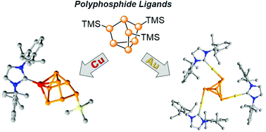 Graphical abstract: Incorporation of coinage metal–NHC complexes into heptaphosphide clusters