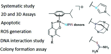 Graphical abstract: Introducing N-, P-, and S-donor leaving groups: an investigation of the chemical and biological properties of ruthenium, rhodium and iridium thiopyridone piano stool complexes