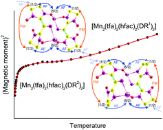 Graphical abstract: A black-box approach to the construction of metal-radical multispin systems and analysis of their magnetic properties