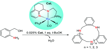 Graphical abstract: Aza-crown compounds synthesised by the self-condensation of 2-amino-benzyl alcohol over a pincer ruthenium catalyst and applied in the transfer hydrogenation of ketones