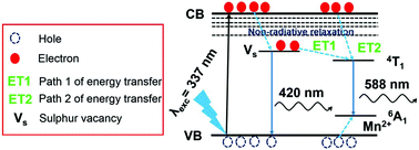 Graphical abstract: Excitonic enhancement of colour emission and Förster resonance energy transfer in chemically synthesized Mn-doped ZnS nanomaterials