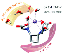 Graphical abstract: Stability, relaxometric and computational studies on Mn2+ complexes with ligands containing a cyclobutane scaffold