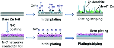 Graphical abstract: Dendrite-free Zn anodes enabled by functional nitrogen-doped carbon protective layers for aqueous zinc-ion batteries