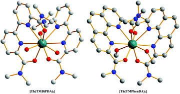 Graphical abstract: Complexes of Th(iv) with neutral O–N–N–O hybrid ligands: a thermodynamic and crystallographic study