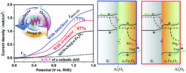 Graphical abstract: Understanding the varying mechanisms between the conformal interlayer and overlayer in the silicon/hematite dual-absorber photoanode for solar water splitting